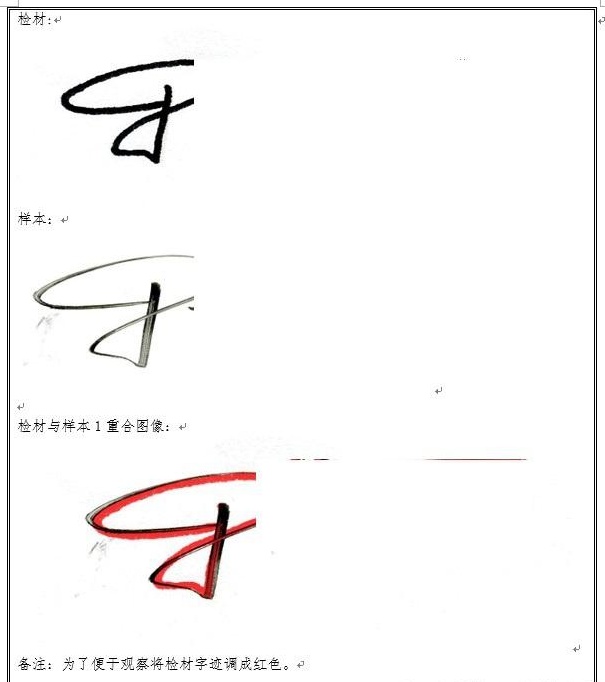 同一性/同源性鉴定