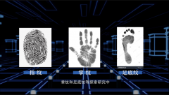 指纹鉴定/足纹鉴定